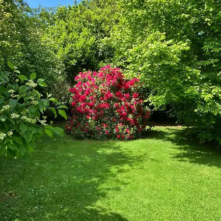 Authentique De Campagne - Grande Maison Familiale Avec Jardin - Cote D'albatre Affittacamere 4*