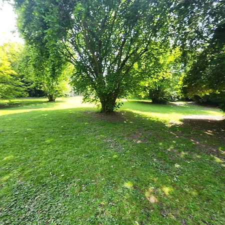Authentique De Campagne - Grande Maison Familiale Avec Jardin - Cote D'albatre * Saint-Vaast-Dieppedalle