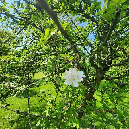 Affittacamere Authentique De Campagne - Grande Maison Familiale Avec Jardin - Cote D'albatre Saint-Vaast-Dieppedalle