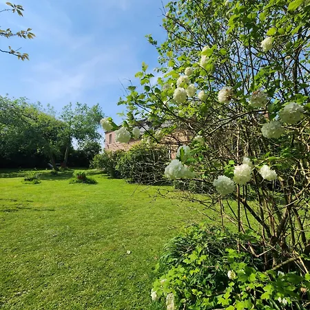 Affittacamere Authentique De Campagne - Grande Maison Familiale Avec Jardin - Cote D'albatre Saint-Vaast-Dieppedalle